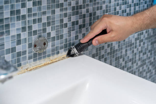 Best Mold Damage Repair  in Leadwood, MO